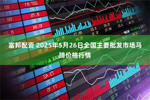 富邦配资 2025年5月26日全国主要批发市场马蹄价格行情