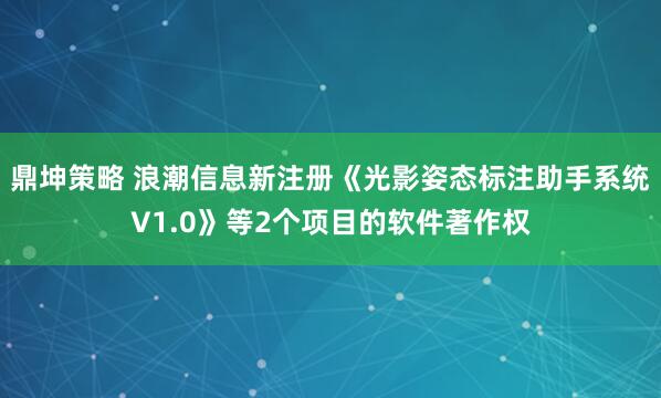 鼎坤策略 浪潮信息新注册《光影姿态标注助手系统V1.0》等2个项目的软件著作权