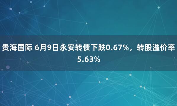 贵海国际 6月9日永安转债下跌0.67%，转股溢价率5.63%
