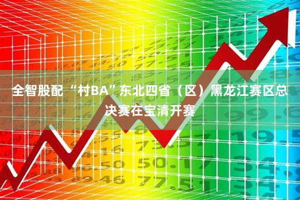 全智股配 “村BA”东北四省（区）黑龙江赛区总决赛在宝清开赛