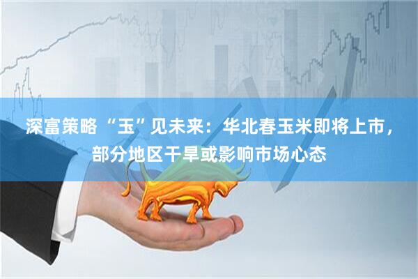 深富策略 “玉”见未来：华北春玉米即将上市，部分地区干旱或影响市场心态