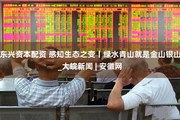 东兴资本配资 感知生态之变丨绿水青山就是金山银山_大皖新闻 | 安徽网