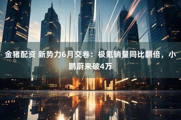金猪配资 新势力6月交卷：极氪销量同比翻倍，小鹏蔚来破4万
